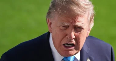 Ministrja gjermane kritikon Trump për thirrjen për një president të ri ukrainas