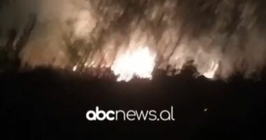 VIDEO/ Rëndohet situata nga zjarri në fshatin Galush të Peqinit, era favorizon përhapjen e flakëve