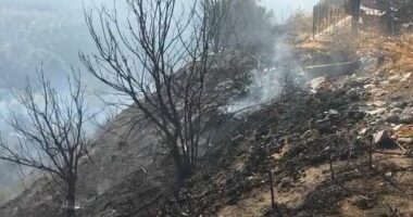 VIDEO/ Vihet nën kontroll situata në Margëlliç, zjarri preku edhe varrezat e fshatit