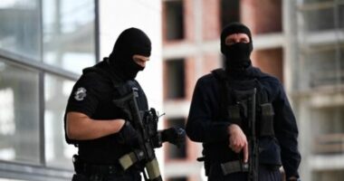 Kontrabandë me mallra në veri të Kosovës/ Sekuestron 22 automjete dhe mallra me vlerë 200 mijë euro
