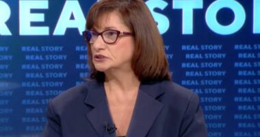 “Energjia gri, më shumë të ardhura”/ Ekspertja Treska: Në Shqipëri do ndërtohet fabrikë për ruajtjen e energjisë