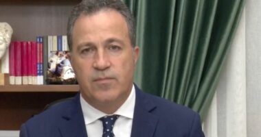 “Dita kur çdo shtetar, parti politike e qytetar t’i thërrasë arsyes”, Peleshi: Apel për përmbajtje e reflektim