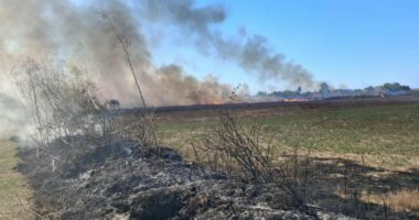 Zjarr në Libofshë, flakët u përhapën me shpejtësi drejt tokave bujqësore