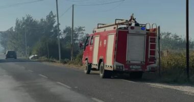 Zjarri në Manati të Lezhës, vijon ndërhyrja për shuarjen e flakëve